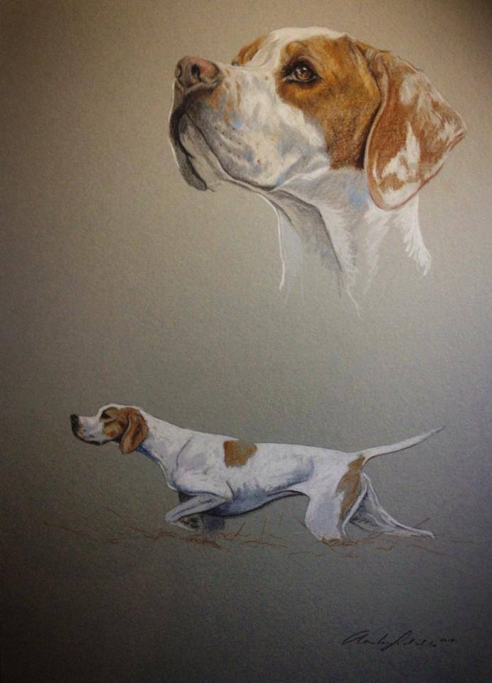 Original painting of a Gundog